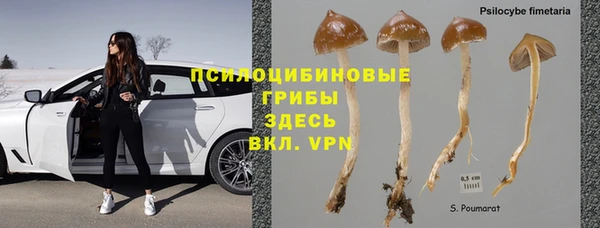 прущая мука Новозыбков