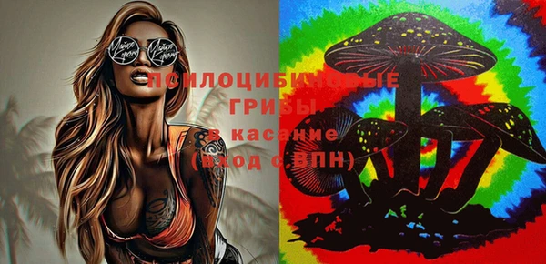прущие грибы Краснотурьинск