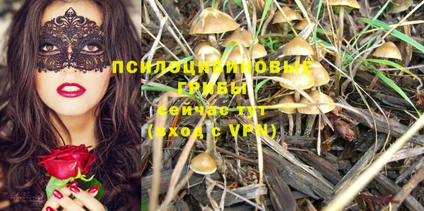 эйфоретик Зерноград