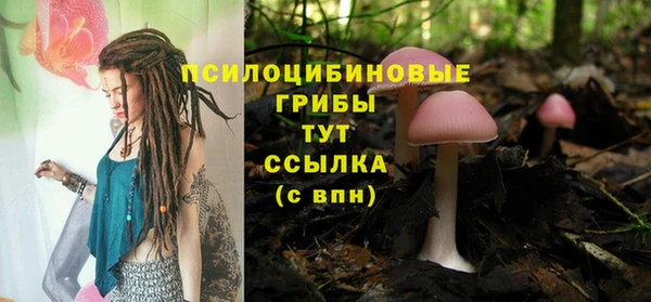прущая мука Новозыбков