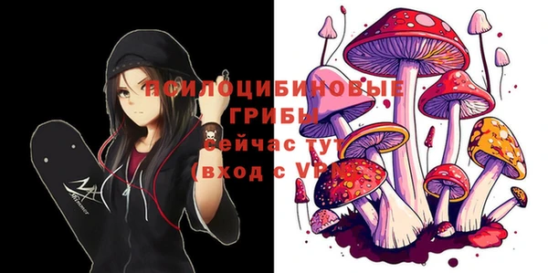 спайс Новодвинск