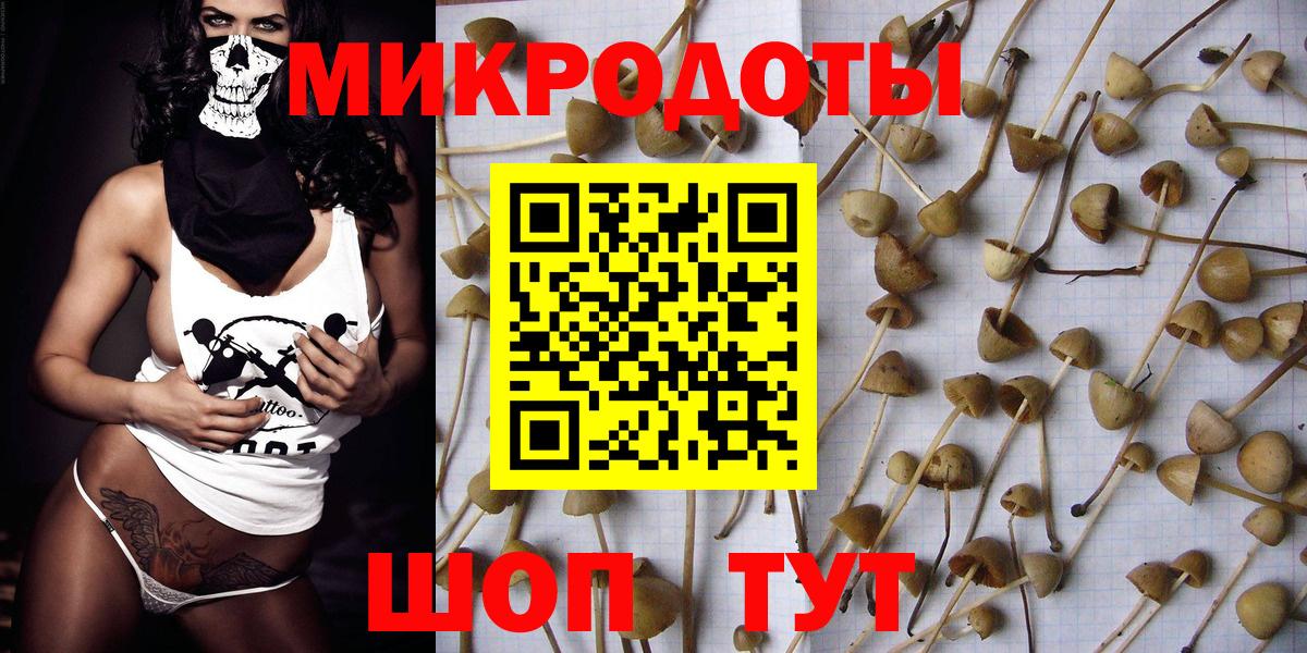 Великие Луки  Галлюциногенные грибы Psilocybe  Вход с VPN 