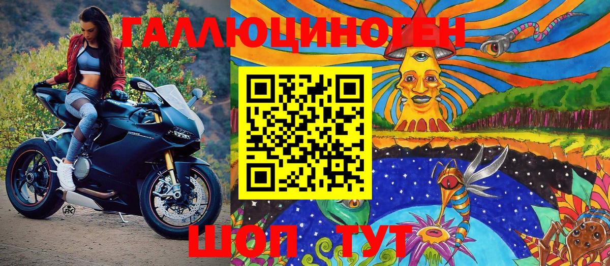 Псилоцибиновые грибы прущие грибы Великие Луки