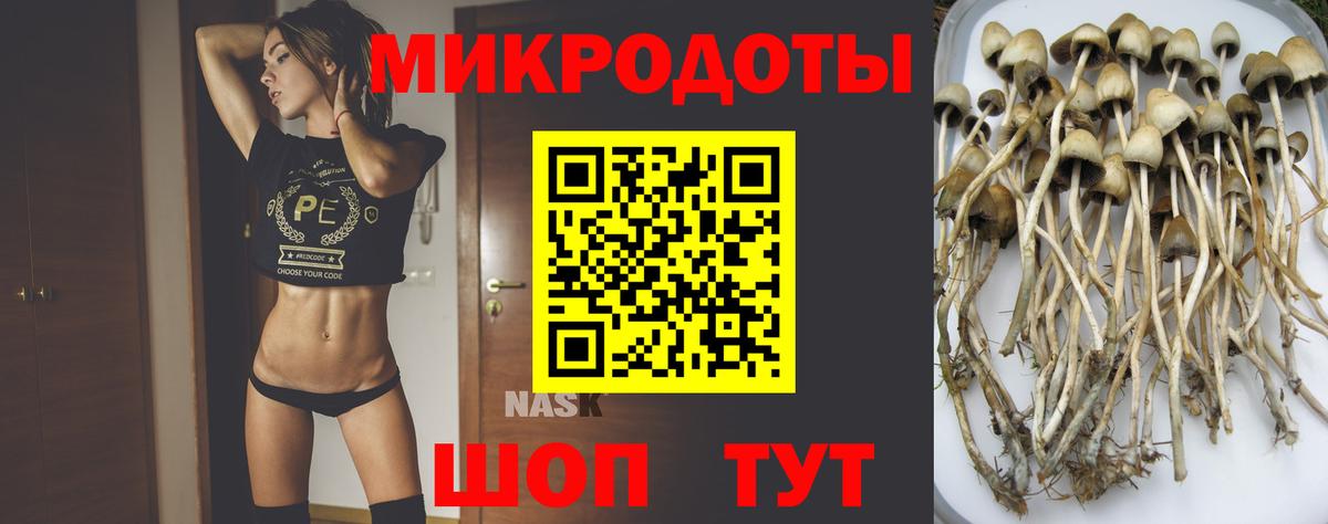 Галлюциногенные грибы ЛСД  Псилоцибиновые грибы MAGIC MUSHROOMS  купить закладку  Великие Луки 